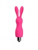 SB-8144 Pink