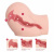 M10-03-20-1_b M10-03-20-1_b