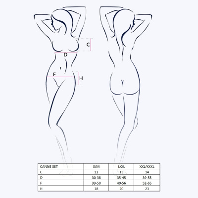 CANNE SET комплект эротического белья Passion Erotic Line черный XXL/XXXL